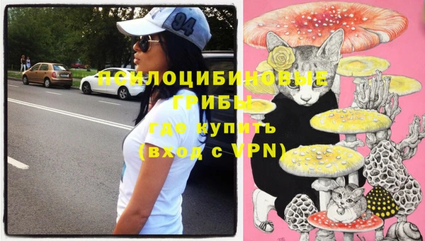 кокс Баксан