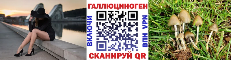Галлюциногенные грибы Psilocybe  MEGA ONION  Оха 